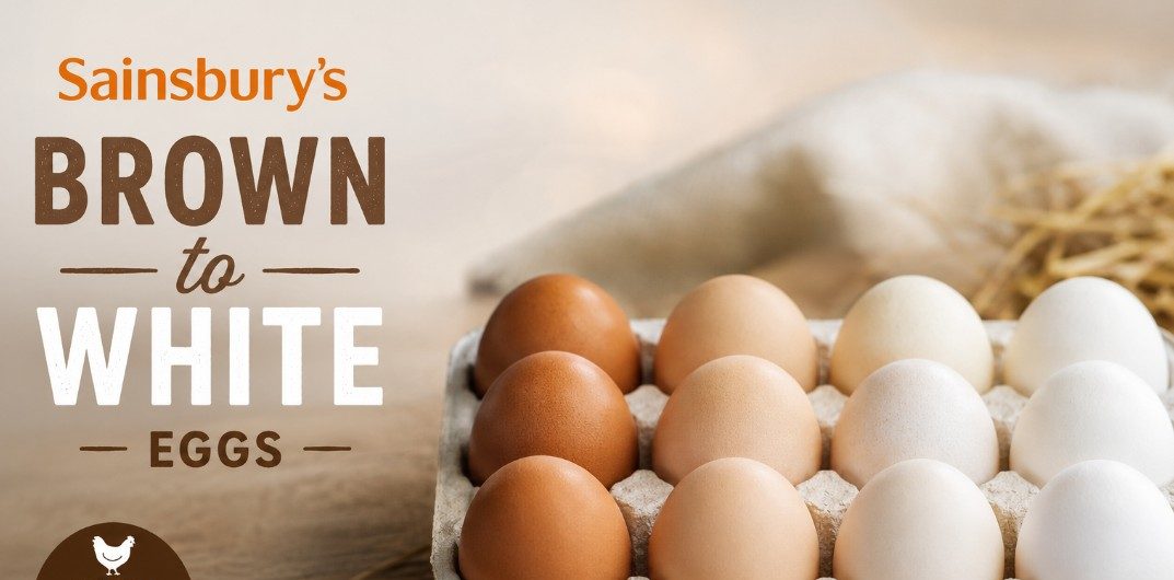 Sainsbury’s Brown to White Eggs Transition: The Complete Consumer and Industry Guide