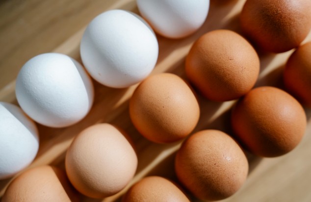What Makes Brown Eggs Different from White Eggs?