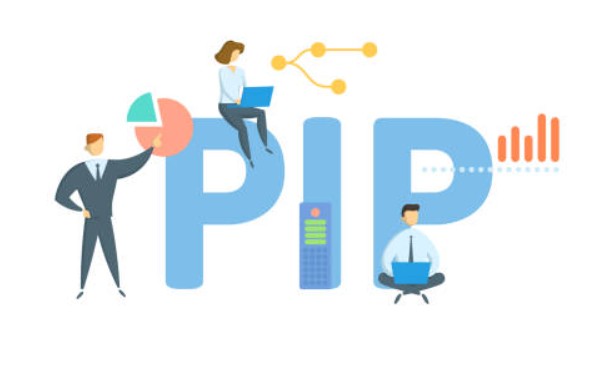 What Is the PIP Points System